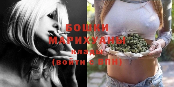 ГАЛЛЮЦИНОГЕННЫЕ ГРИБЫ Вяземский