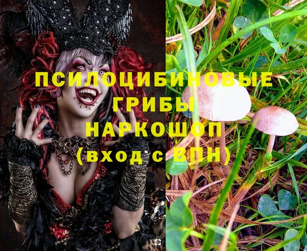 дживик Волосово